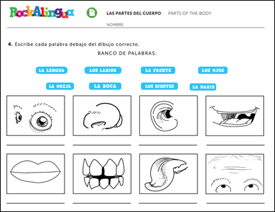 a labelling worksheet with parts of the face