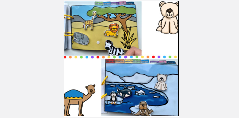 a collage of distinct animal habitats