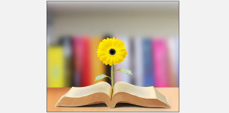 book with flower growing out of it