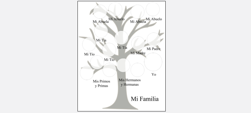 a picture of a family tree with many branches